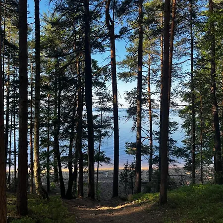 Kolocabins - Huuhanranta 5